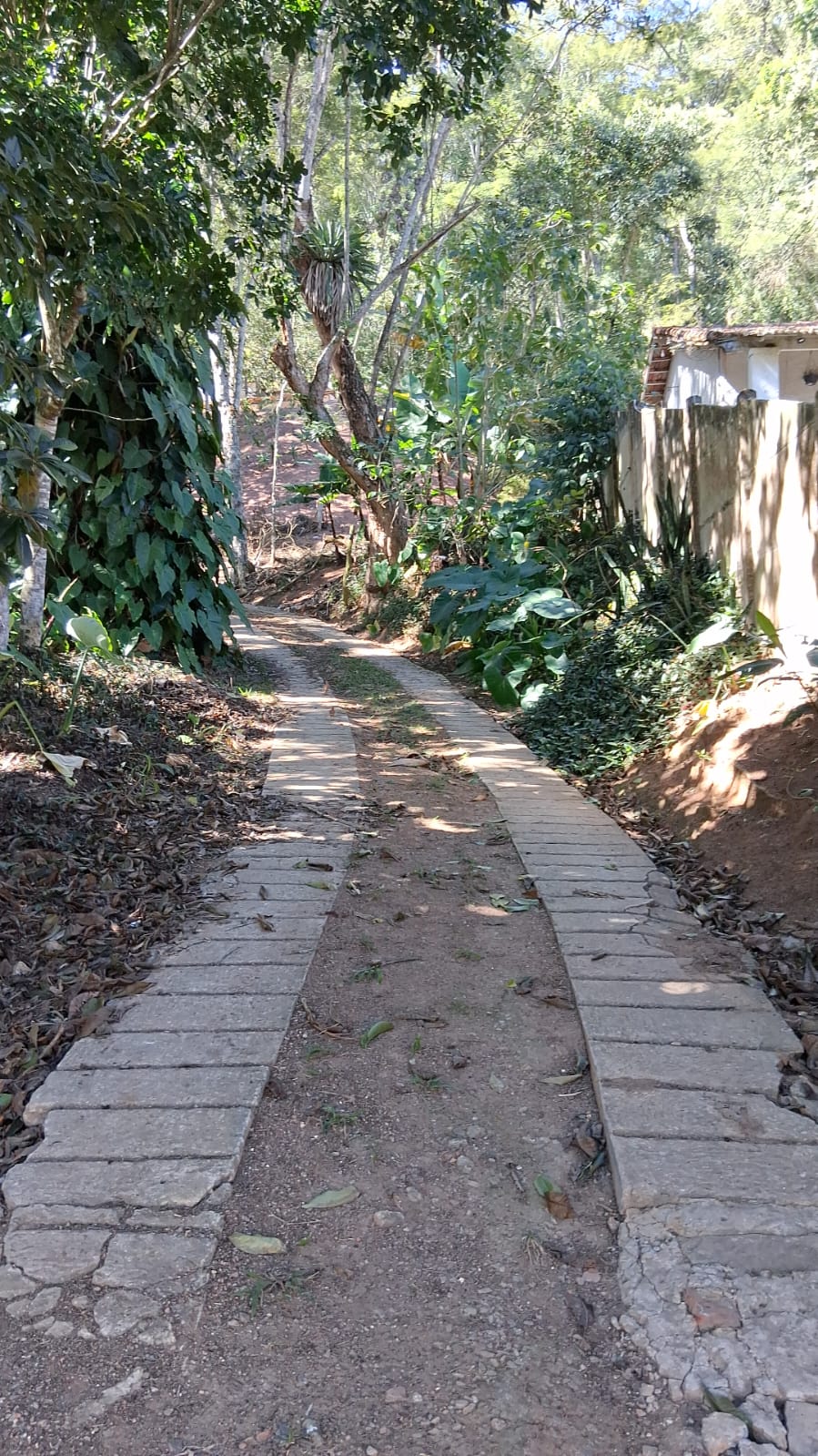 Caminho de entrada em meio à natureza